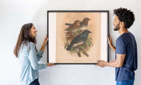 Johannes Gerardus Keulemans