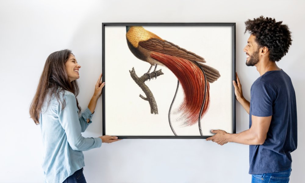 Jean Baptiste Audebert