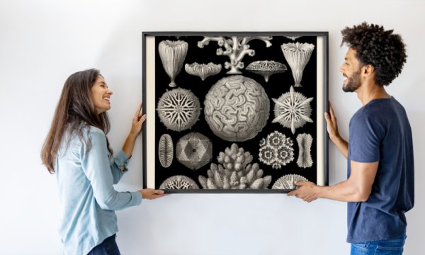 Ernst Haeckel
