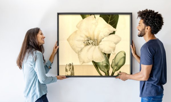 Annales Musei botanici lugduno batavi