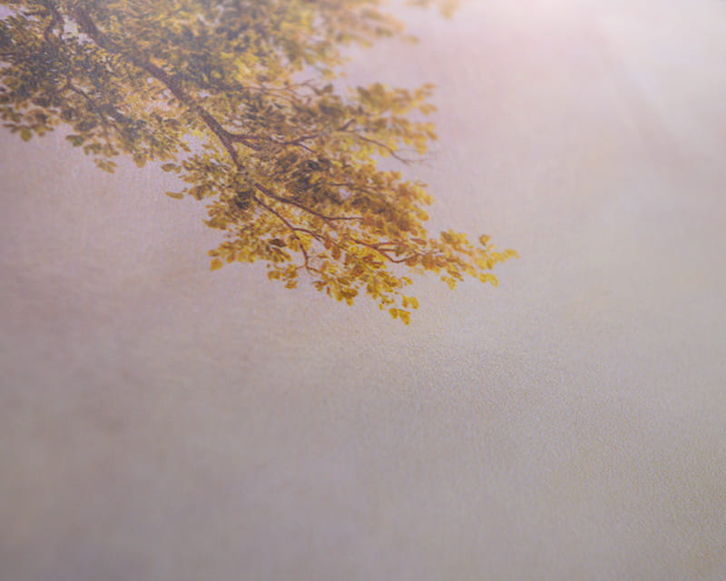 Barytový umělecký fotopapír (Hahnemühle Gloss Baryta)  22