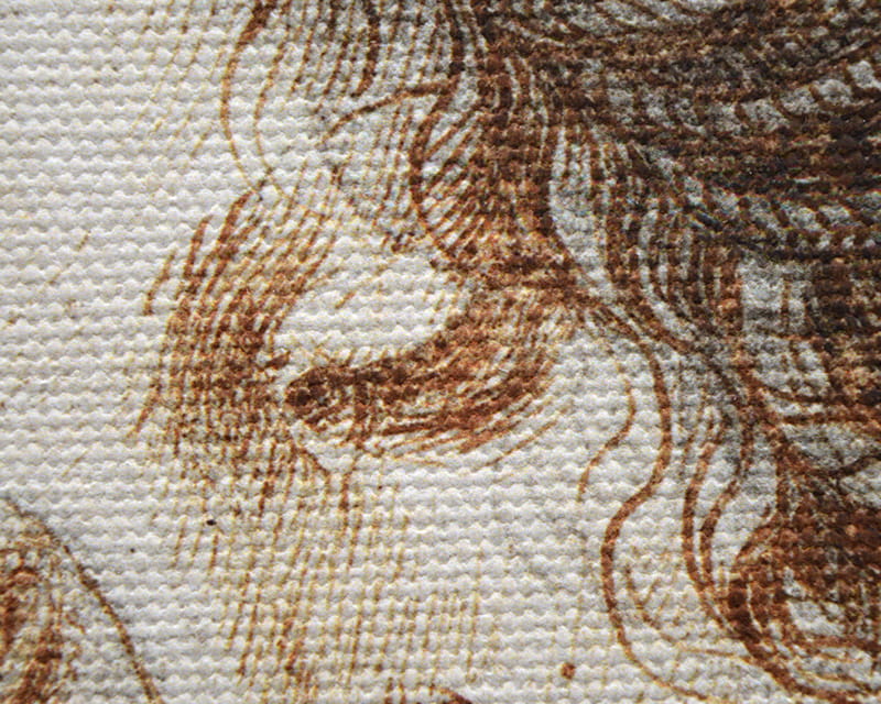 Plátno Salvador (matné) (Plátno Florenz)  33