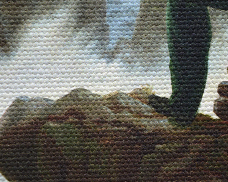 Plátno Salvador (matné) (Plátno Florenz)  8