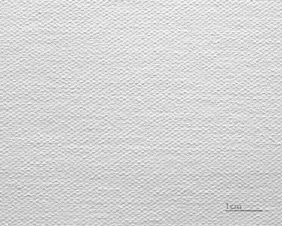 Plátno Leonardo (satén)