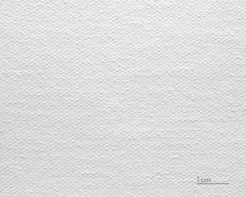 Plátno Raphael (matné) (Epson Premium Canvas Matte)  1