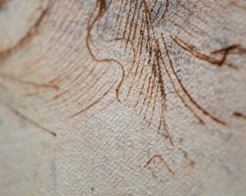 Plátno Raphael (matné) (Epson Premium Canvas Matte)  9