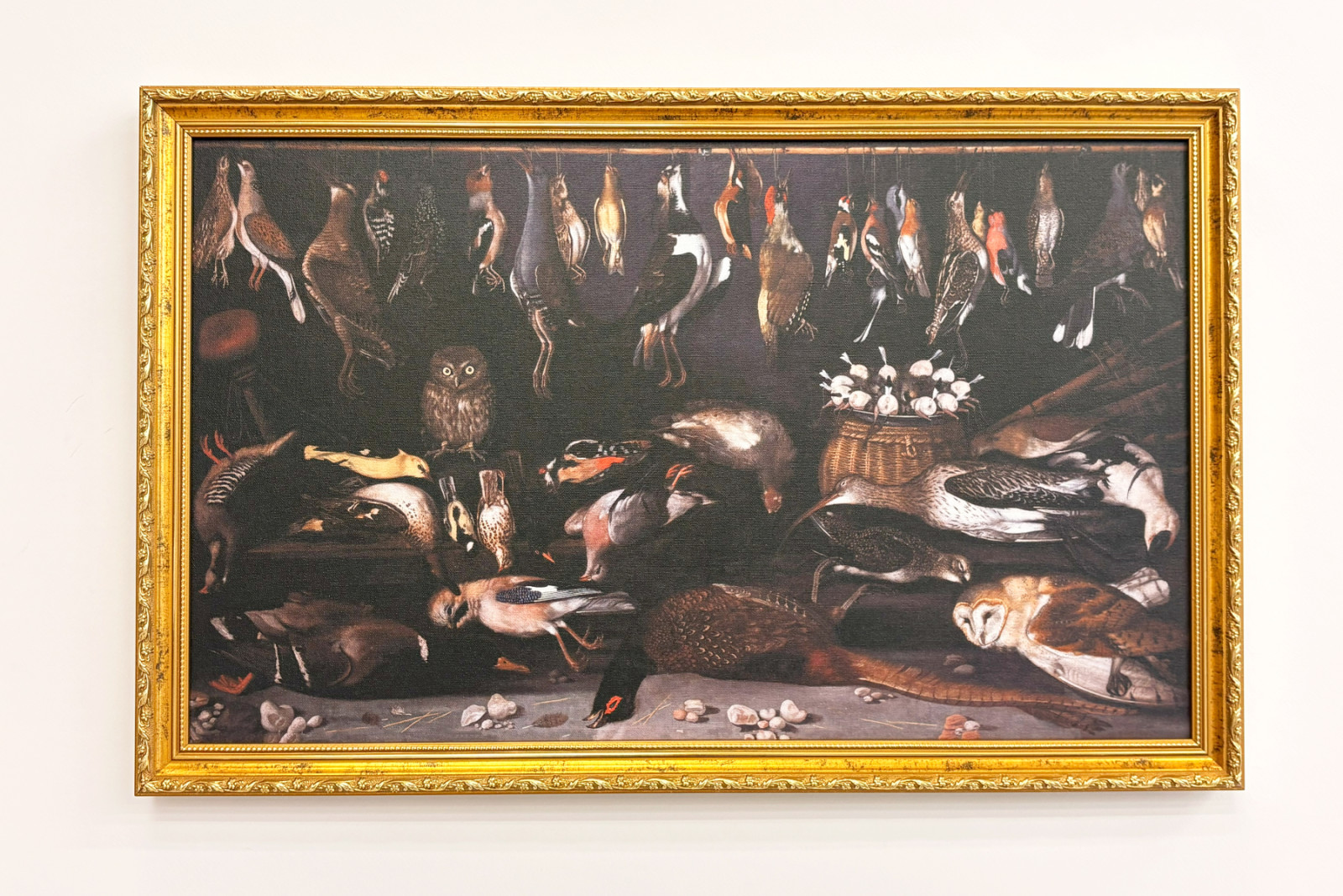 Zátiší s ptáky (pták) Malba připisovaná Michelangelovi Merisi dit Caravaggio (Caravaggio) (1571-1610) Řím Galleria Borghese - Michelangelo Merisi da (attr. to) Caravaggio