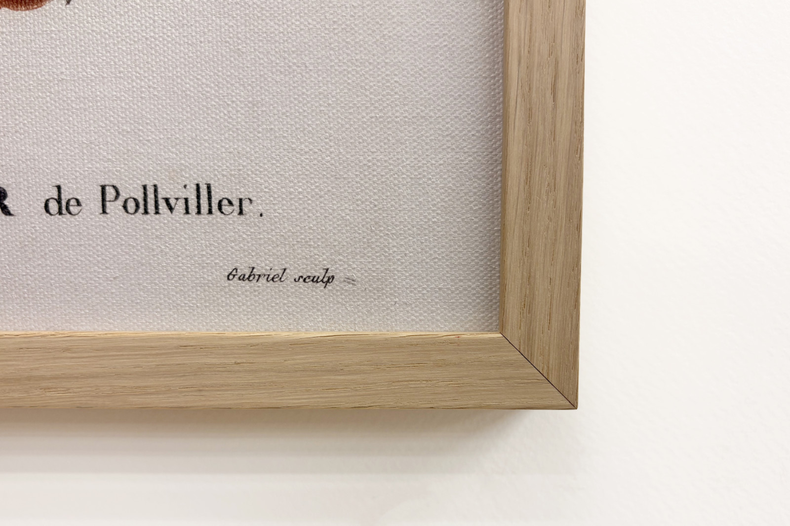 Poirier de Pollviller - v „“ Nouveau Duhamel du Monceau ou traité des arbres et shrustes que le culture en France““, postavy podle kreseb P. J. Redoute et P. Bessa, Paříž - Pierre Joseph (after) Redoute