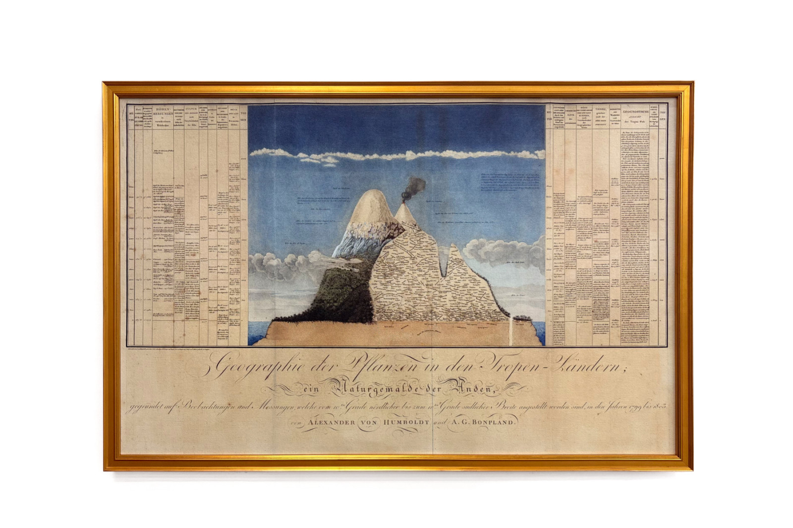 Geografie rostlin v tropických zemích, studie And, kresba Schoenbergera a Turpina, tisk Langlois, Paříž - Baron Friedrich Alexander von Humboldt