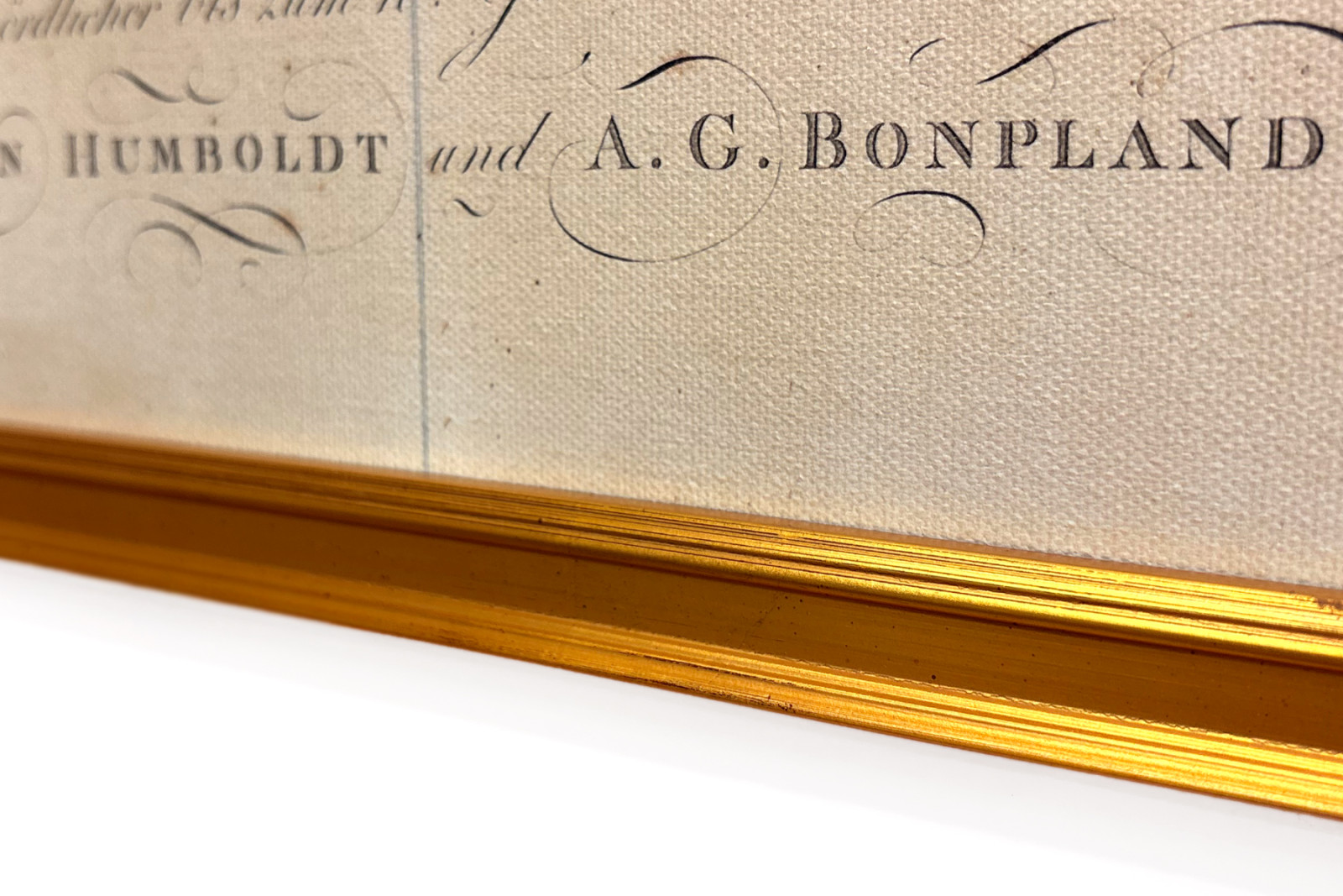 Geografie rostlin v tropických zemích, studie And, kresba Schoenbergera a Turpina, tisk Langlois, Paříž - Baron Friedrich Alexander von Humboldt