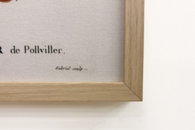 Poirier de Pollviller - v „“ Nouveau Duhamel du Monceau ou traité des arbres et shrustes que le culture en France““, postavy podle kreseb P. J. Redoute et P. Bessa, Paříž