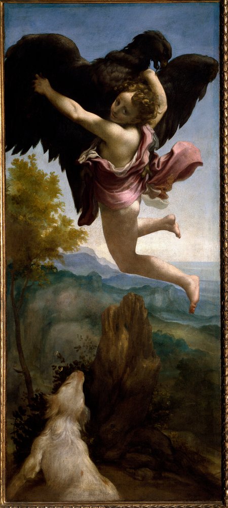 Únos Ganymeda (obraz, kolem roku 1531) od (c.1489-1534) Correggio