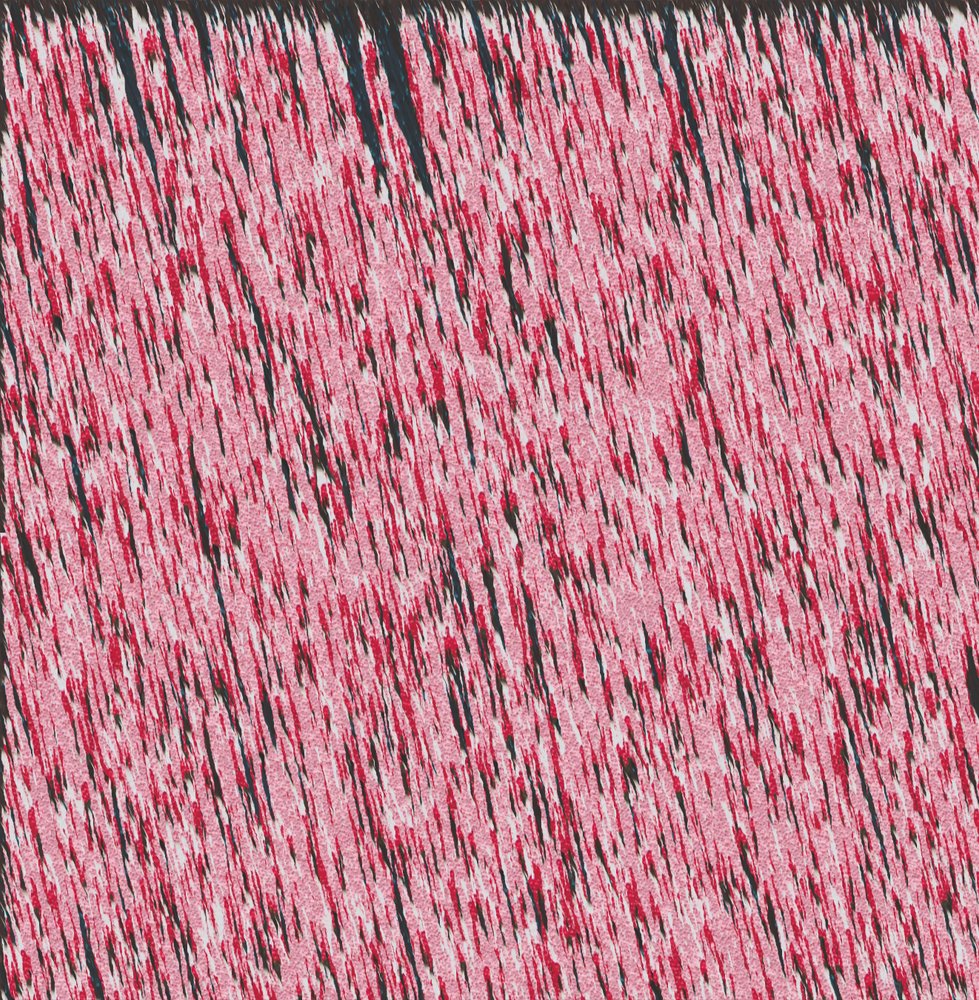 Margin I, 2019, (kombinovaná média) od Alex Caminker