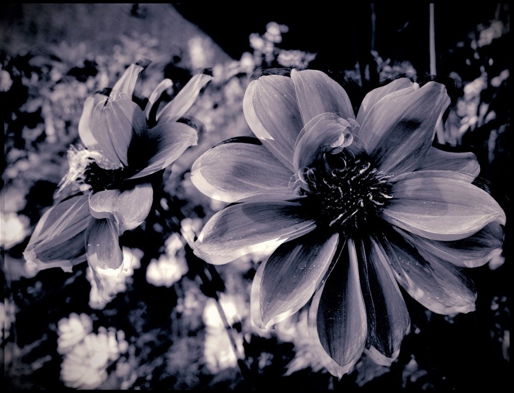 divadelní dekorace, 2019, (fotografie) od Alex Caminker