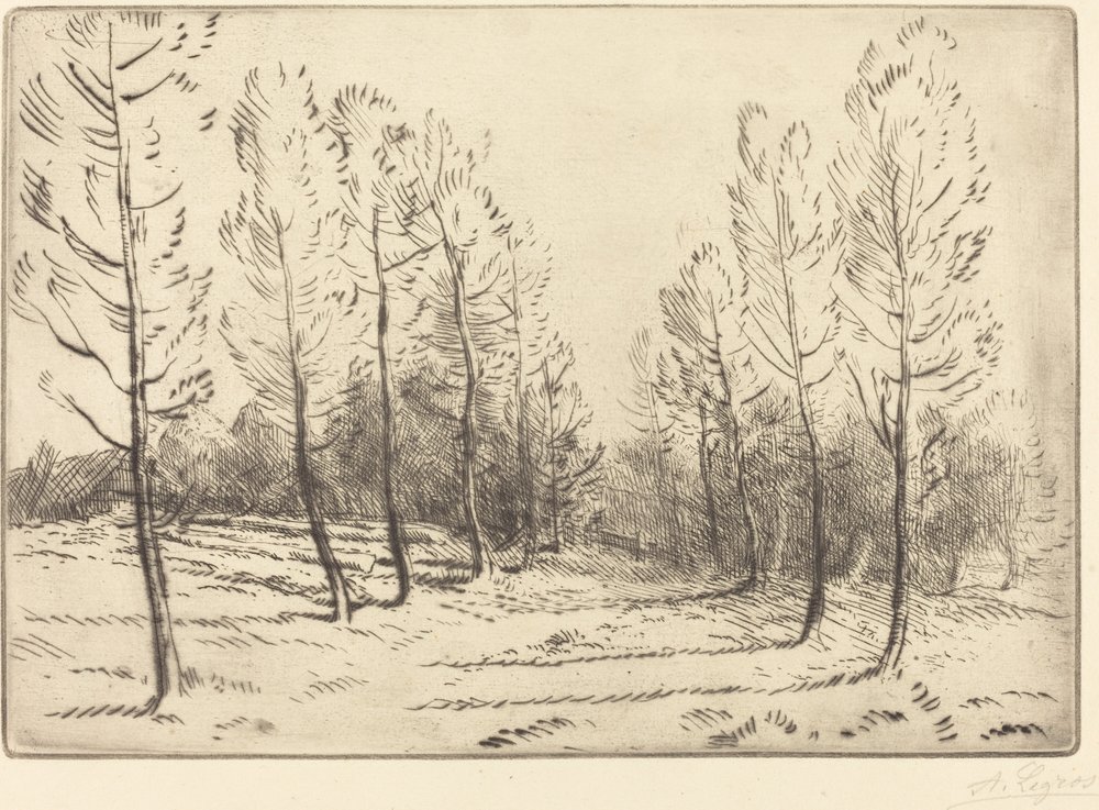 Alej topolů od Alphonse Legros