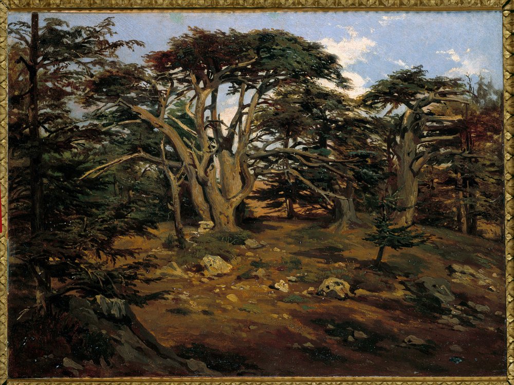 Staré cedry na hoře Libanon v Boumana Painting od Antoine Alphonse Montfort (1802-1884) 19. století Sun. 0,32x0,44 m Paříž, muzeum Orsay od Antoine Alphonse Montfort