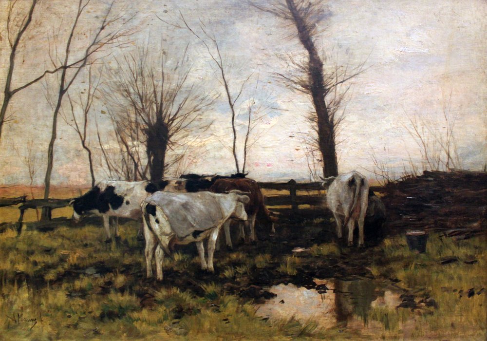 Krávy na pastvině od Anton Mauve