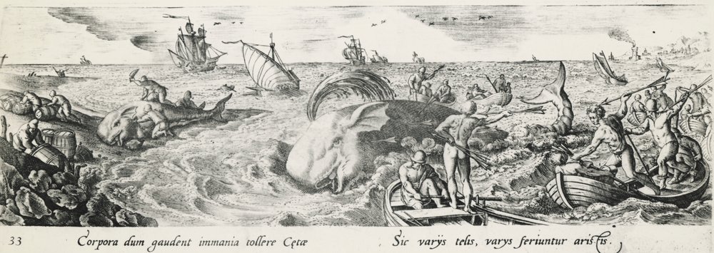 Lov velryb, Antonio Tempesta (1555-1630), rytina, Itálie od Antonio Tempesta