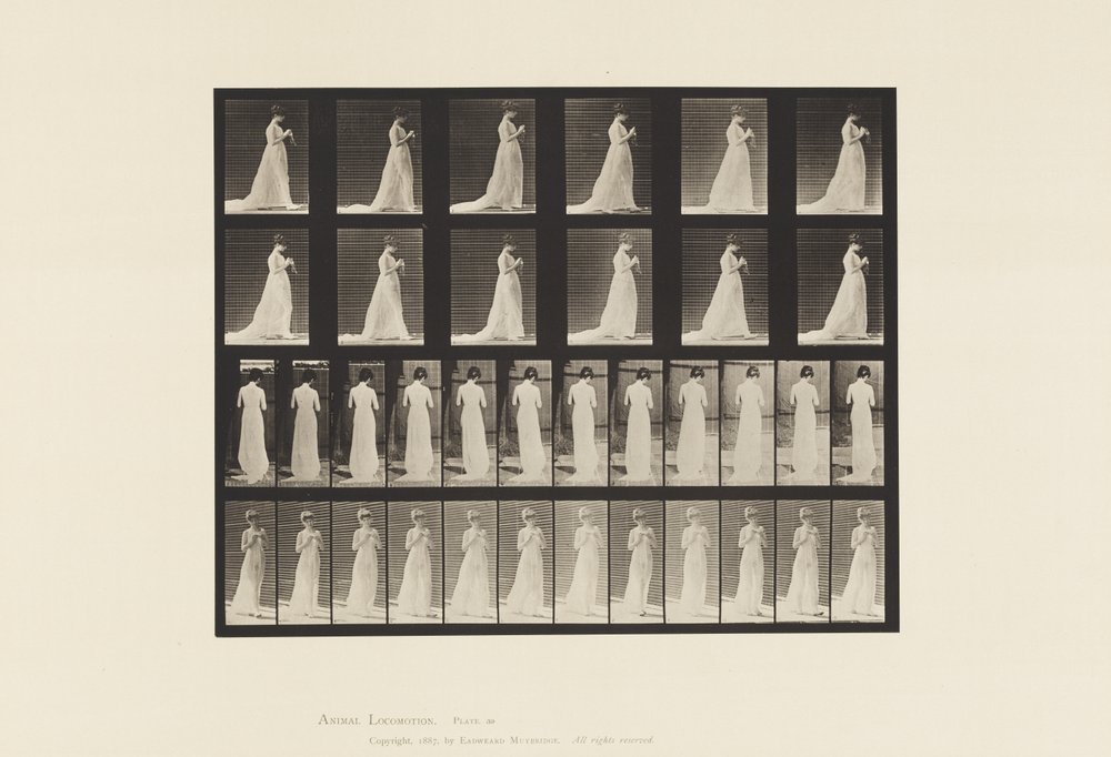 Talíř 39. Chůze, ruce zapojené do pletení, 1872-1885 od Eadweard Muybridge