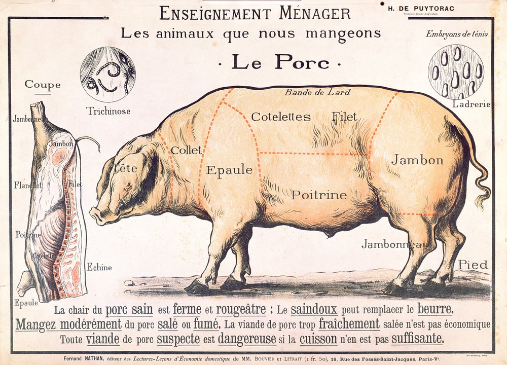 Části vepřového masa, ilustrace z francouzské příručky domácí nauky od H. de Puytoraca, vydané nakladatelstvím Éditions Fernand Nathan, konec 19. století od French School