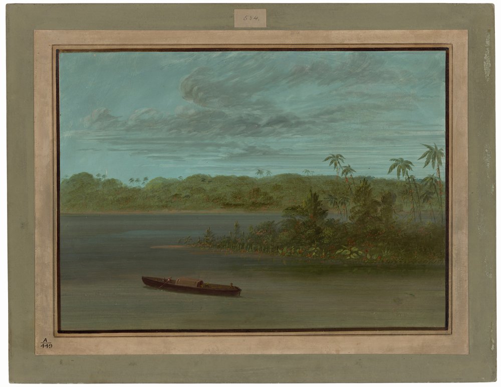 Ústí řeky Rio Purus od George Catlin