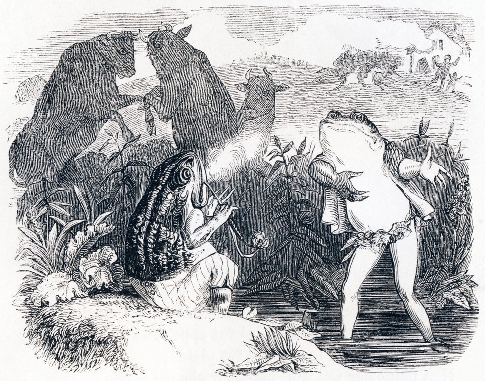 Dva býci a žába - Bajky od La Fontaina od Grandville