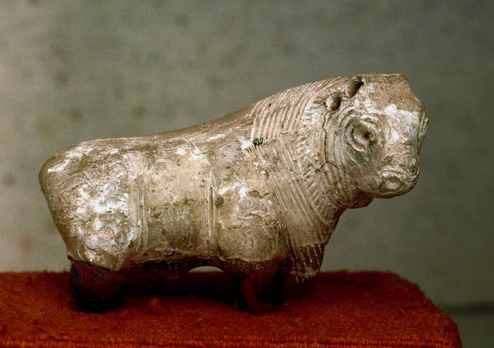 Civilizace údolí Indu (5000 př. n. l.): býk. Terakotová figurka z Mohendžodara (Mohenjo Daro) (Pákistán), 2400 př. n. l. Karáčí, Národní muzeum, Pákistán od Indus Valley Civilization