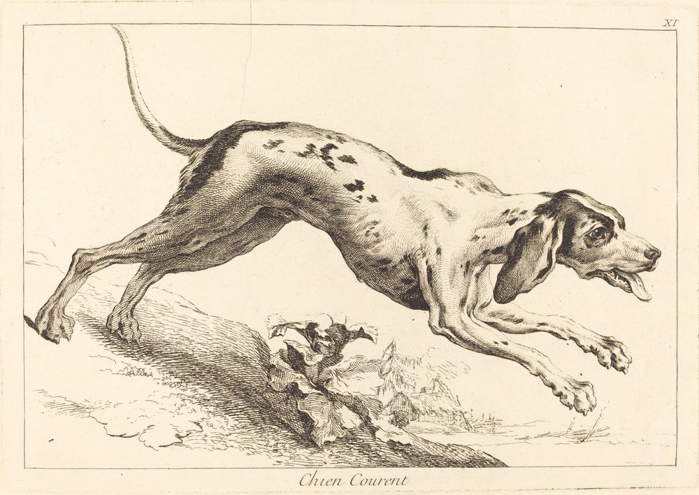 Chien courent (běhající honič) od Jacques Philippe Le Bas and Jean Eric Rehn after Jean Baptiste Oudry