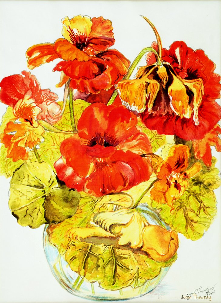 Nasturtiums, 2005, (vodová barva) od Joan Thewsey