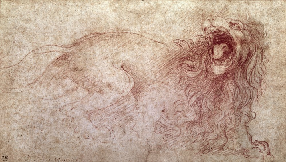 Skica řvoucího lva od Leonardo da Vinci