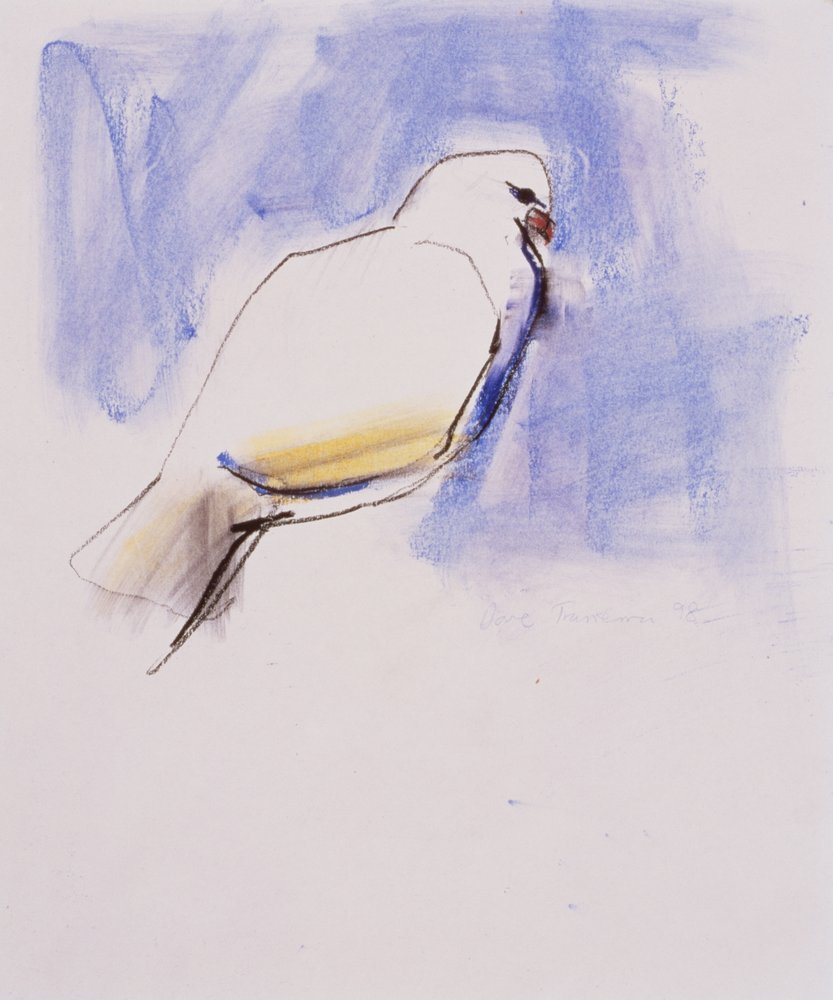 Dove, Trasierra, 1998 (grafit, dřevěné uhlí a conte na papíře) od Mark Adlington