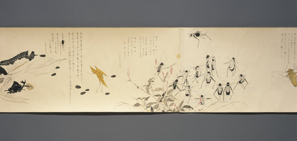 Přátelé divoké zvěře (Yasei no Tomo), období Taisho, 7. rok Taisho, kolem 1918 (inkoust a wc na tkaném papíře zdobené slídou) od Ryoka Kawakami