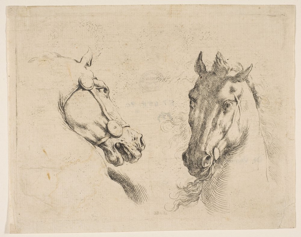 Dvě koňské hlavy, ca. 1649. od Stefano della Bella