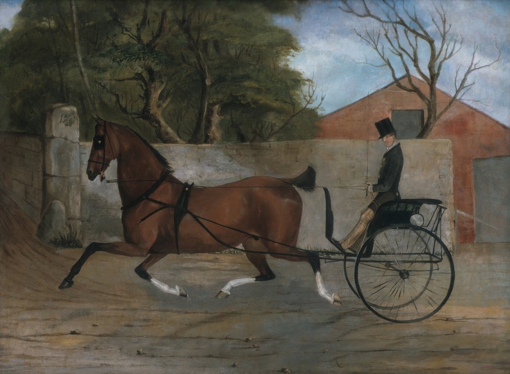 Portrét gentlemana v kočáře, kolem 1850-60 od Unbekannt