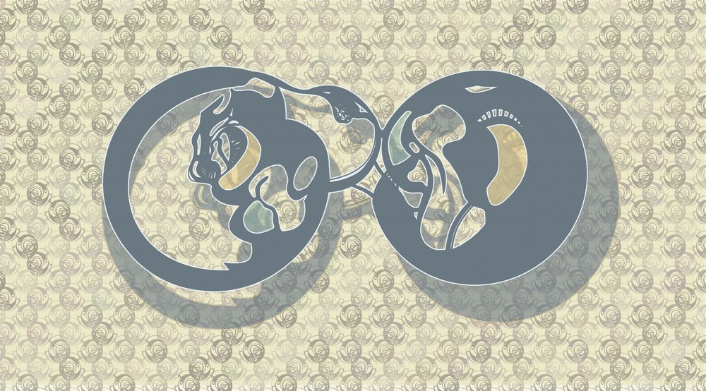 Abstrakt: Kočičí nekonečno od Alejandra Winkhaus