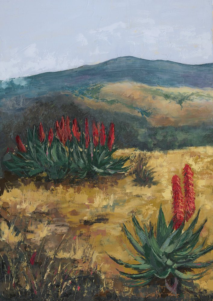 Red Aloes Desert Hills od Alex Cornell