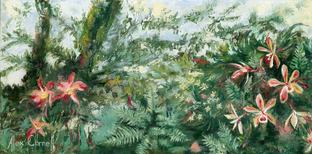 Zářivé tropické orchideje od Alex Cornell