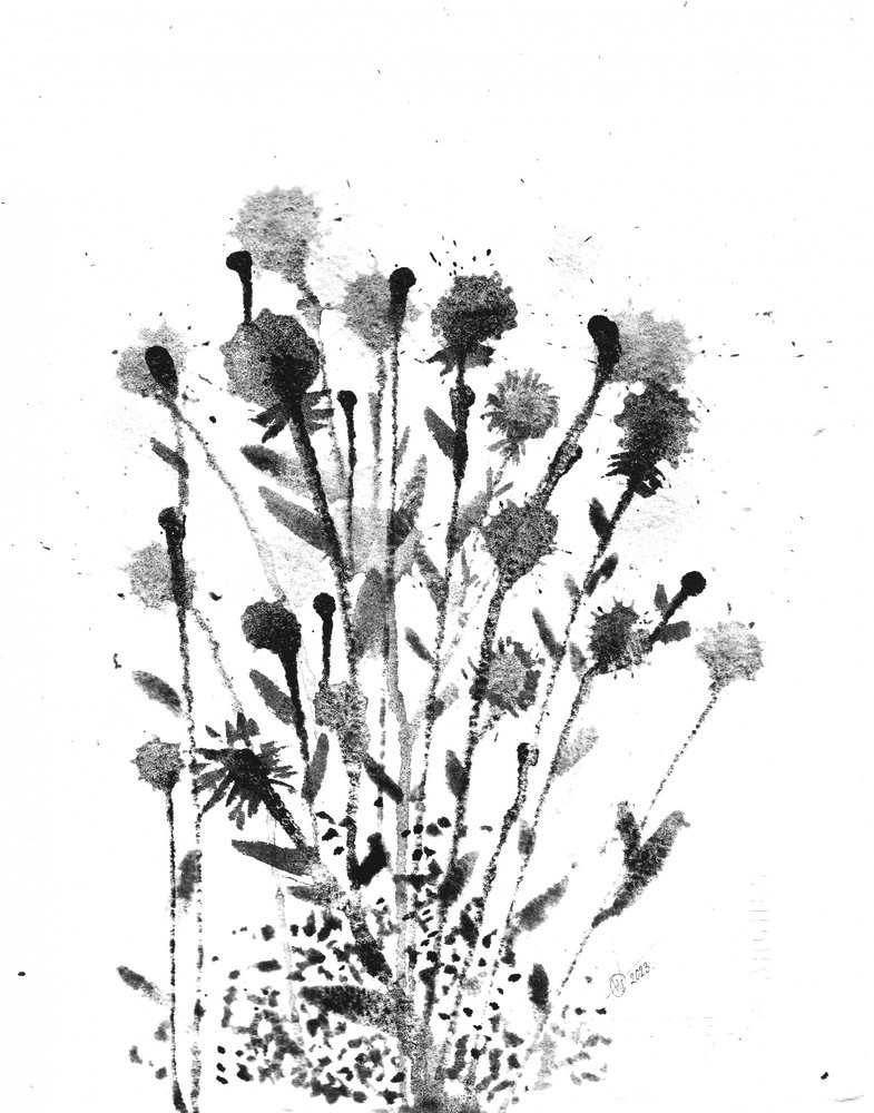 Abstraktní inkoustové rozkvěty od Alex Walsh