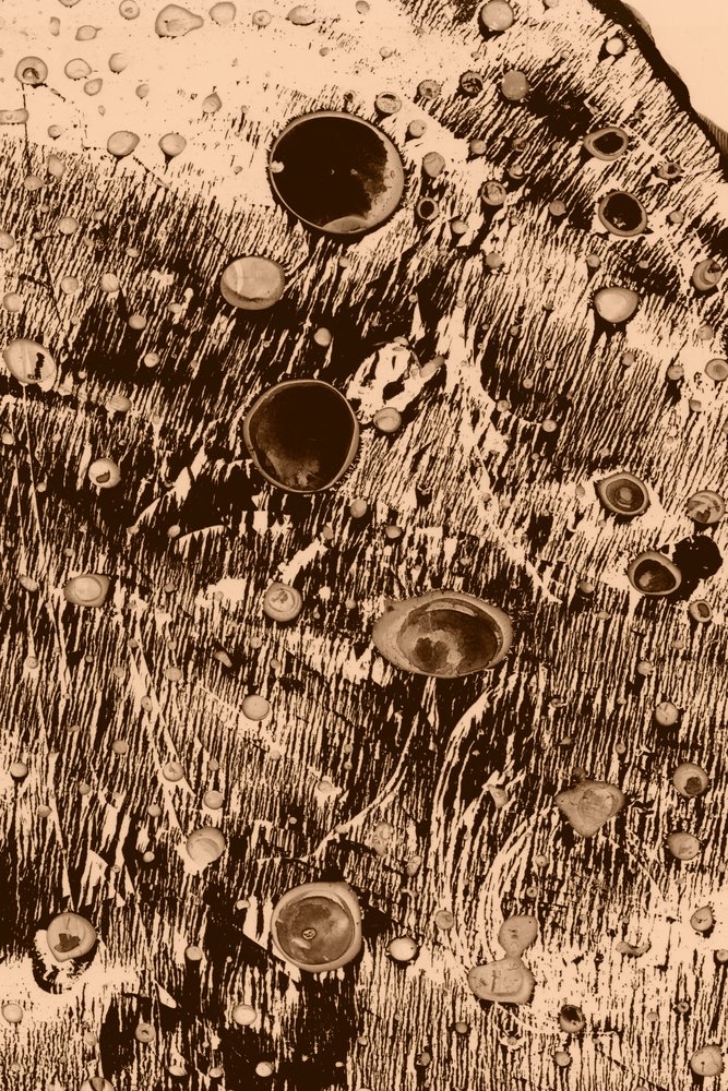 Kyslík od Alexander Adiels