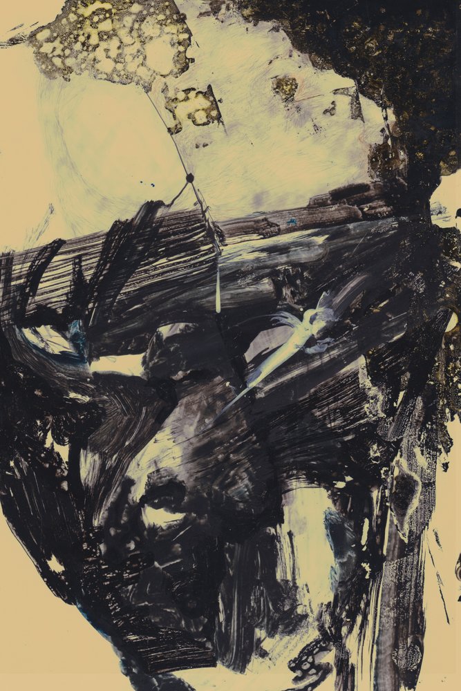 Polar od Alexander Adiels