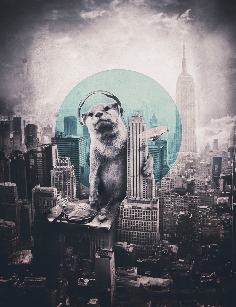 Urban Otter DJ od Ali Gulec