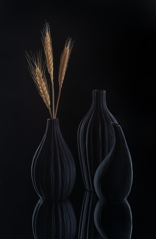 Elegantní temné zátiší od Alice Sheng