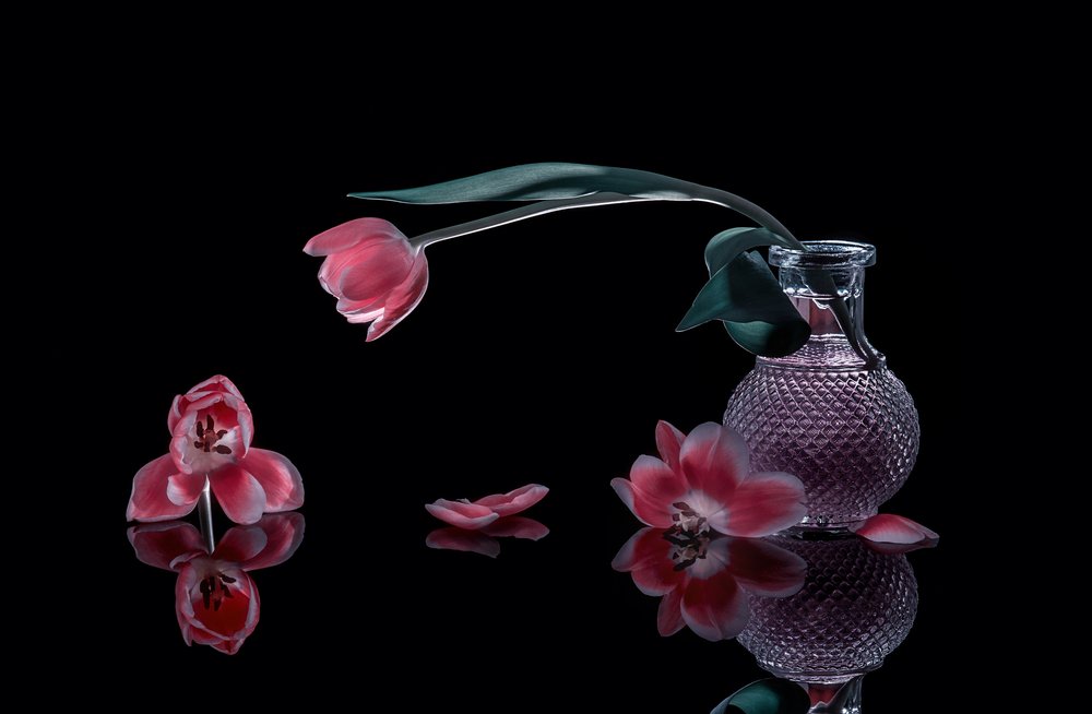 Elegantní růžové tulipány od Alice Sheng