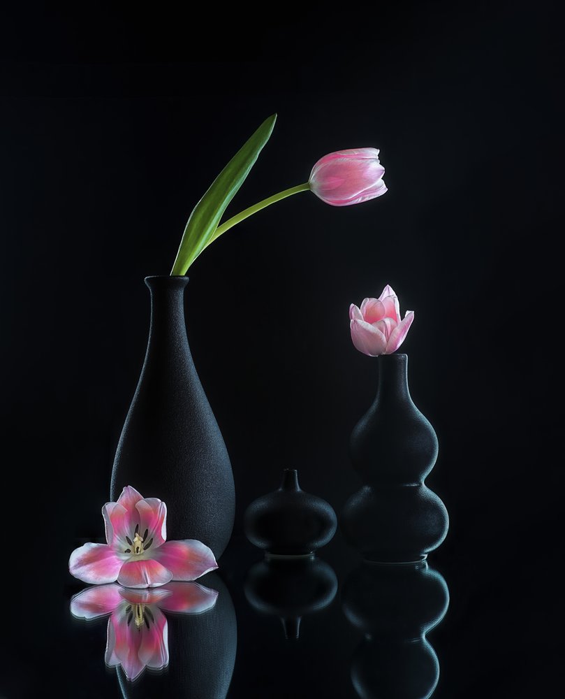 Elegantní odrazy tulipánů od Alice Sheng