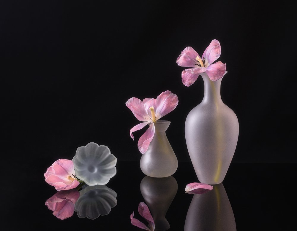 Vybledlé růžové tulipány od Alice Sheng