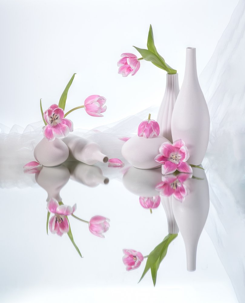 Odrazy růžových tulipánů od Alice Sheng