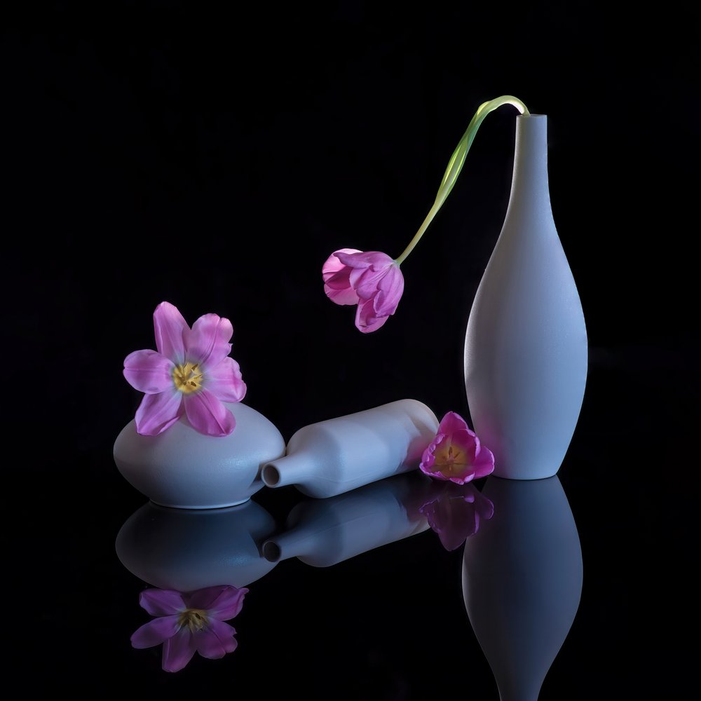 Odražené fialové tulipány od Alice Sheng