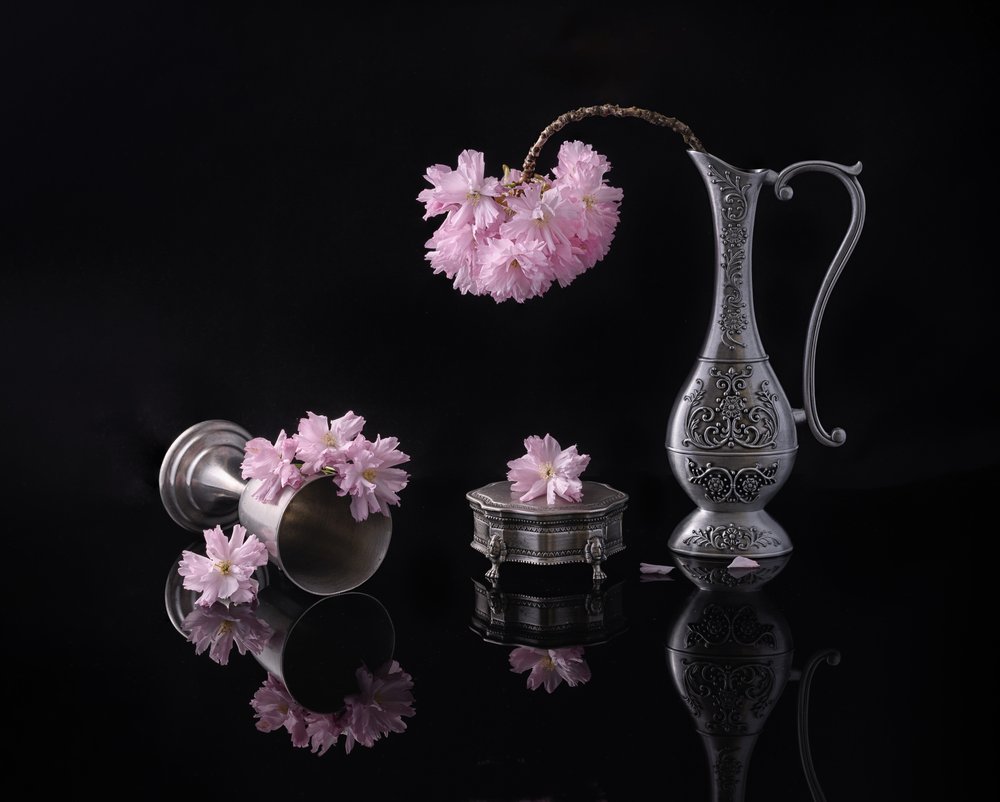 Stříbro a sakura od Alice Sheng