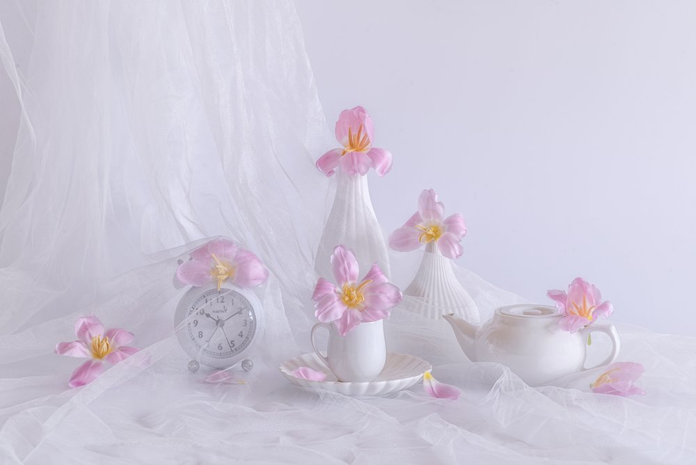 Jemně růžové tulipány od Alice Sheng