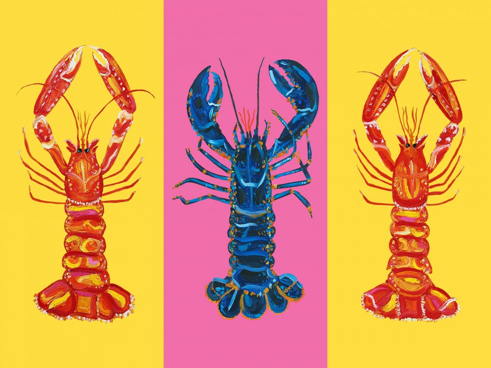 Lobster Langoustines Pop Art 2 od Alice Straker